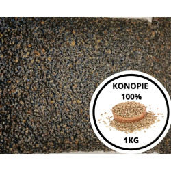 Ziarna Standard 1kg | SazanBaits.pl - Profesjonalne przynęty karpiowe