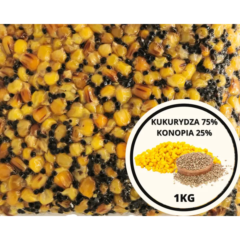 Ziarna KUKURYDZA 50% + KONOPIE 25% 1kg | SazanBaits.pl - Profesjonalne przynęty karpiowe