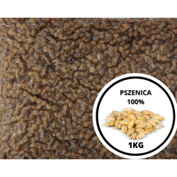 Ziarna Standard 1kg | SazanBaits.pl - Profesjonalne przynęty karpiowe