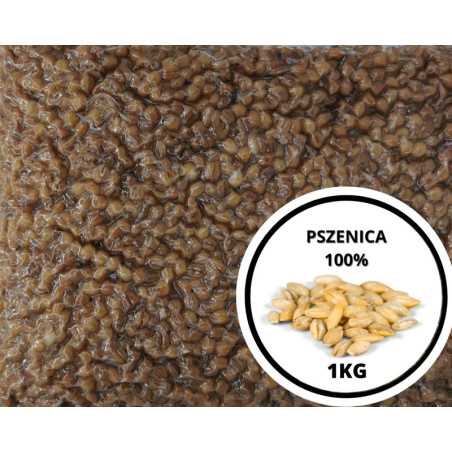 Ziarna Standard 1kg | SazanBaits.pl - Profesjonalne przynęty karpiowe